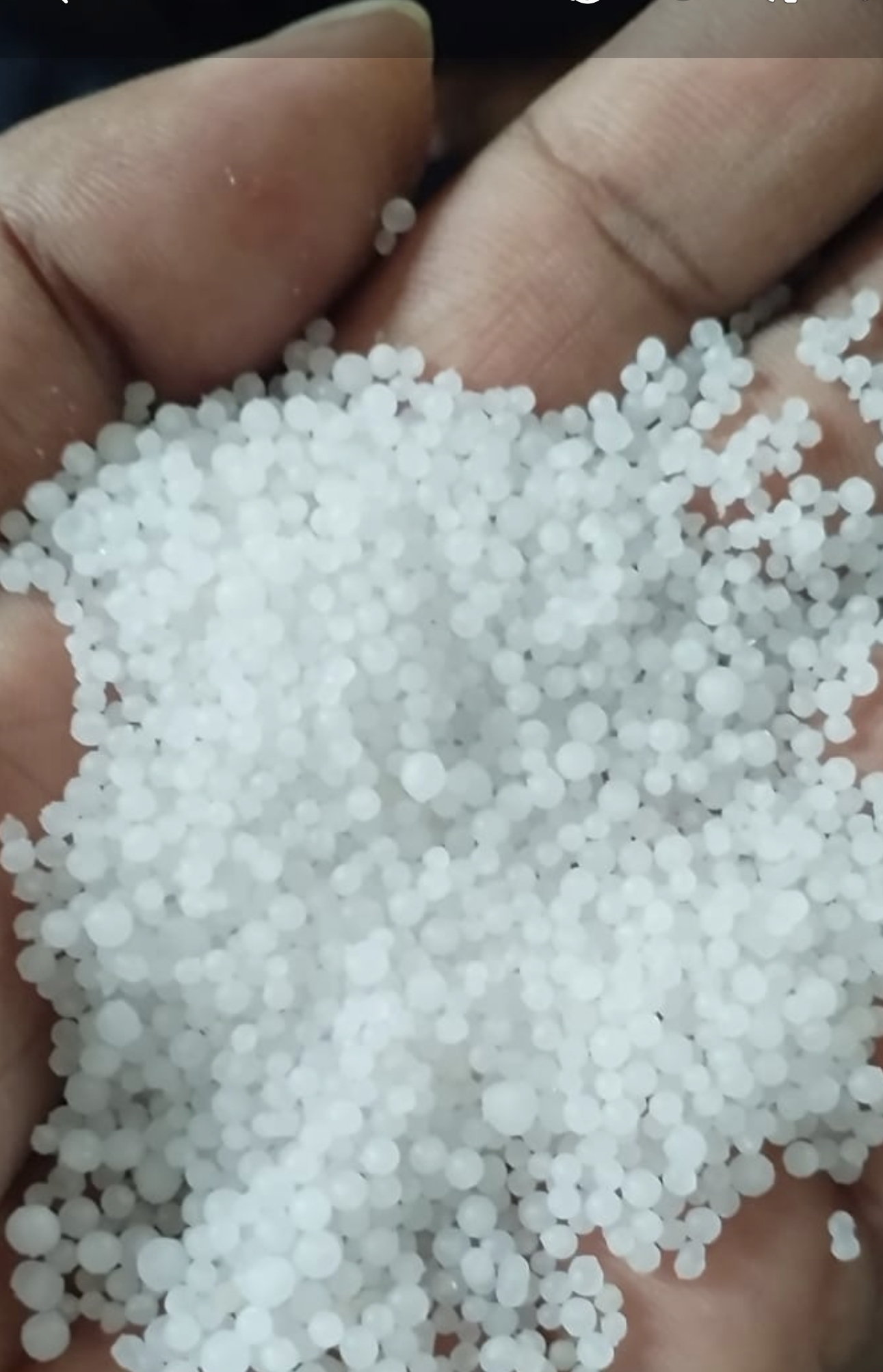 Prilled Urea Fertilizer